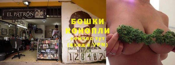 гидра Богородск