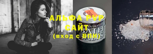 гидра Богородск