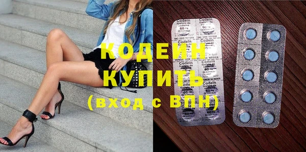гидра Богородск