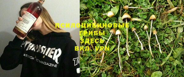 mdma Богданович