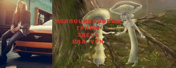 2c-b Богородицк