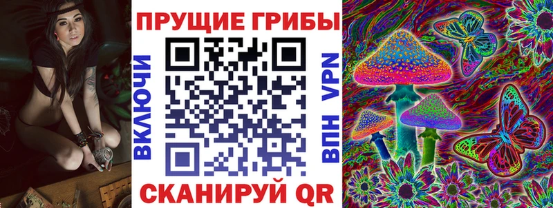 Псилоцибиновые грибы прущие грибы закладки Бугульма