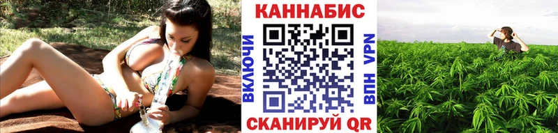 Шишки марихуана тримм  где продают наркотики  Бугульма 